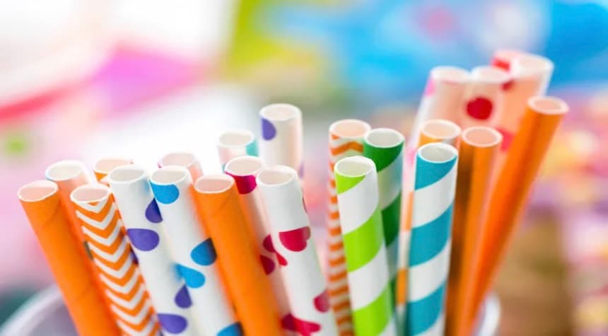 Study Finds Paper Straws Contain Toxic Chemicals